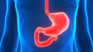 Diabetic Gastroparesis Treatment Market Diabetes can cause a variety of medical conditions in humans, including gastroparesis, a stomach condition.