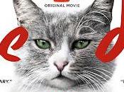 #2,734. Kedi (2016) Turkish Cinema Triple Feature