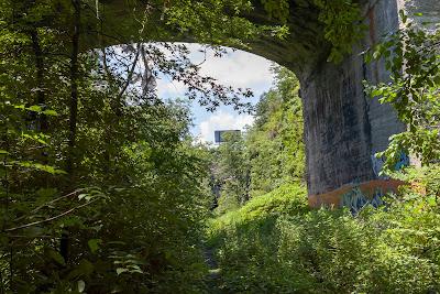 Nature and culture [Bergen Arches]