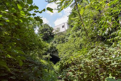 Nature and culture [Bergen Arches]