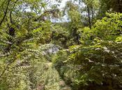 Nature Culture [Bergen Arches]