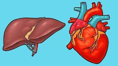 Transthyretin Amyloid Cardiomyopathy (ATTR-CM) Treatment Market ATTR-CM (transthyretin amyloid cardiomyopathy) is a type of amyloidosis that affects the heart, causing heart muscles to stiffen and eventually leading to heart failure.