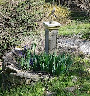 Spring Time
