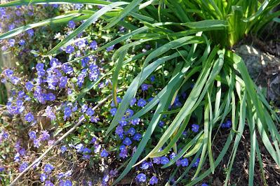 Spring Time