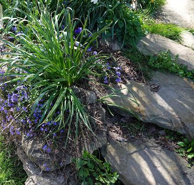 Spring Time