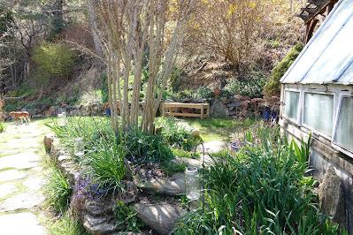 Spring Time