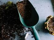 Choose Best Soil Cannabis