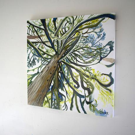 I’m Lichen These Branches! | PNW Art | Painting of Lichen on Trees | Columbia River Gorge