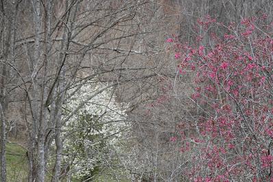 As Temperatures Fall