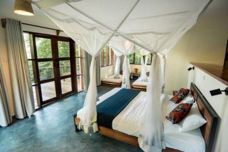 Luxury family room Turaco Treetops Kibale Forest. Photo Turaco Treetops Micah De Korne
