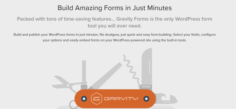 Gravity Forms Review 2022 Top 5 Features & Pricing (Is It The Best WordPress Forms Plugin?)