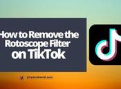 Remove Rotoscope Filter TikTok