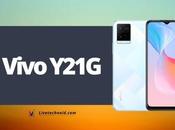 Vivo Y21G Full Specifications Price