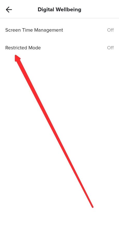 Select the Restricted Mode option