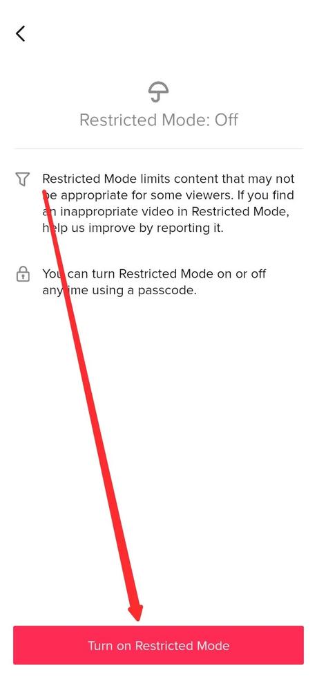 Tap on Turn off Restricted Mode