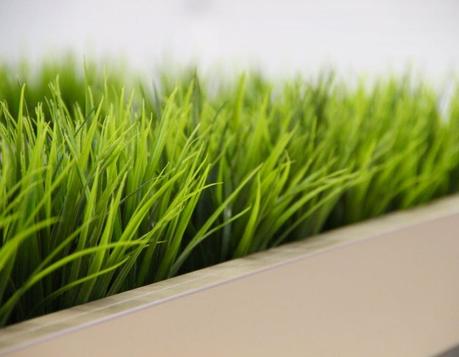 Is wheatgrass juice actually healthy? Find out!