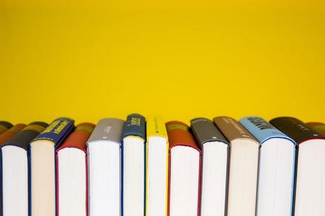 4 Education Fields That Will Help You Achieve A Successful Career