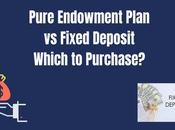 Pure Endowment Plan Fixed Deposit: Which Purchase?