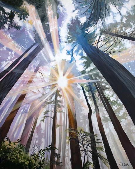 Redwood Cathedral | Redwood Trees Painting | Amazing Light in California Redwood Forest