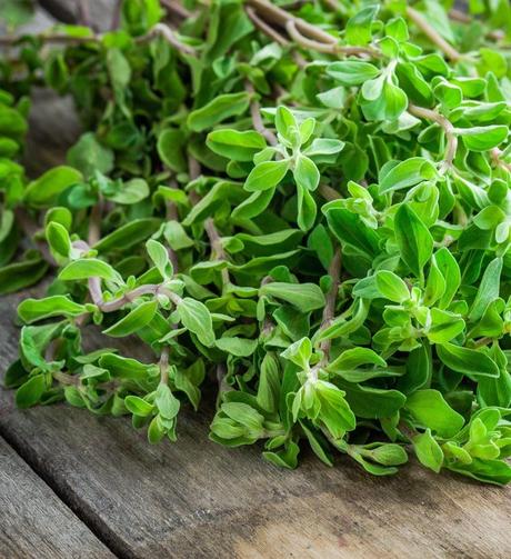 8 Marjoram Substitutes You May Not Know About