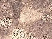 Thousands Strange 'Nazca Lines' Discovered Middle East