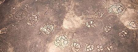 Thousands Of Strange 'Nazca Lines' Discovered In The Middle East