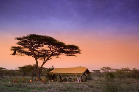 Three fantastic safari camps in Tanzania