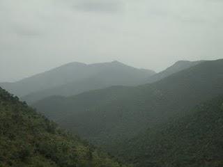 38) MM hills, BR hills, Shivanasamudra: (7/7/2011)