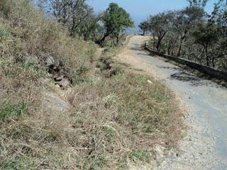 29) HimvadGopalaswamy hills(himavad gopalaswamy hills) : (5/2/2011)