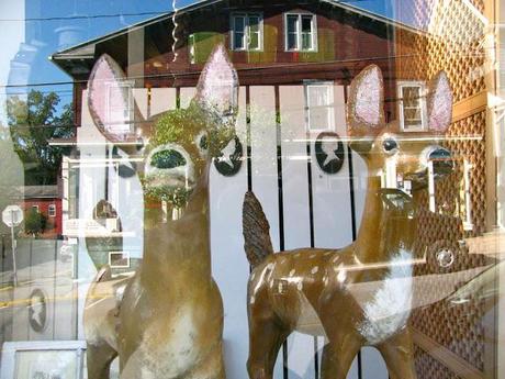 Deer-and-Weekend-Reflections-in-Millerton-New-York