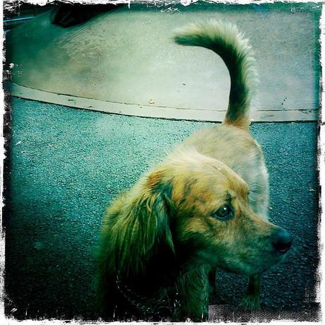 Fun With Colors, a Flea Market and We try again with the Movie