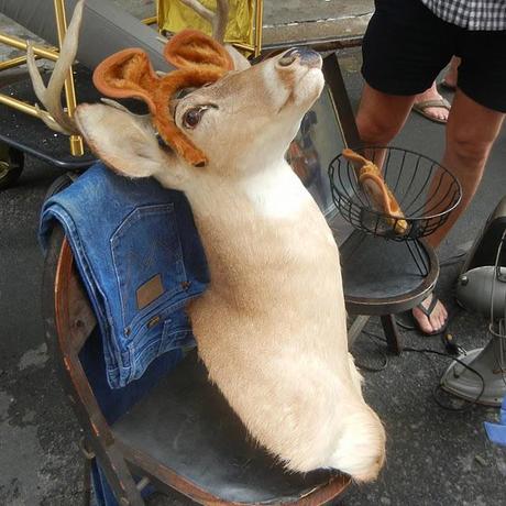 Fun With Colors, a Flea Market and We try again with the Movie