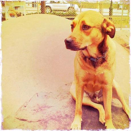 Fun With Colors, a Flea Market and We try again with the Movie