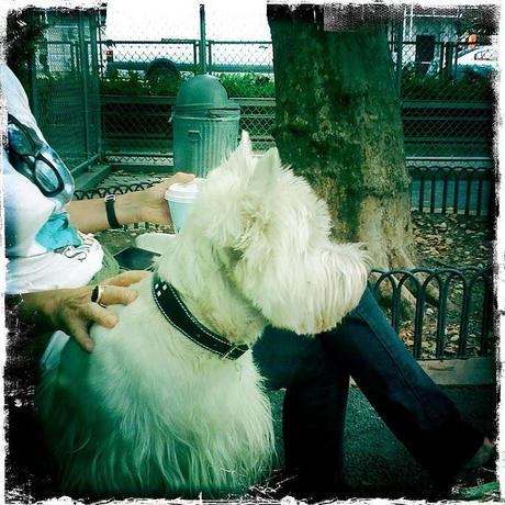 Fun With Colors, a Flea Market and We try again with the Movie