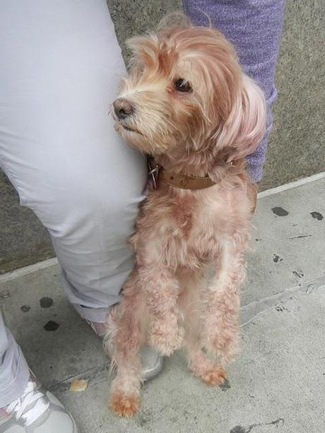 Fun With Colors, a Flea Market and We try again with the Movie