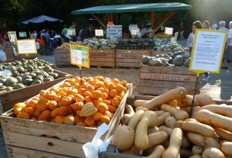 pumpkin festival pumpkin market