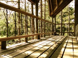 Up In the Tree House with a Friend