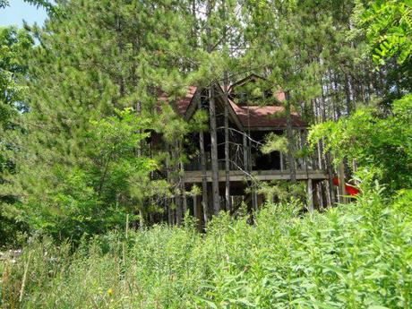 Up In the Tree House with a Friend