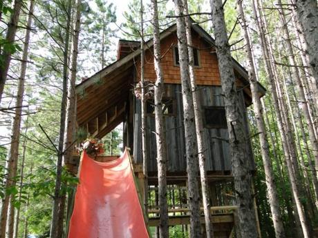 Up In the Tree House with a Friend