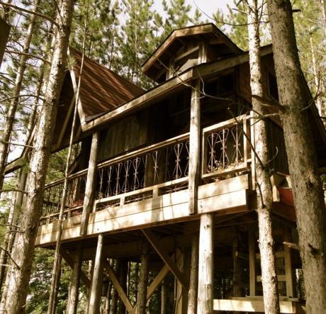 Up In the Tree House with a Friend