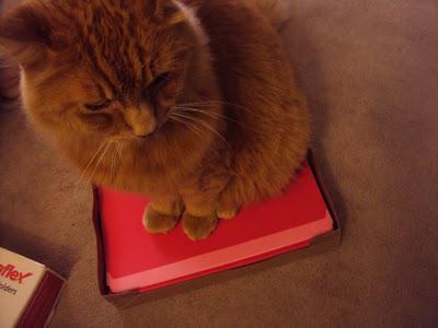 Rain, Rain, Here Today!