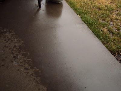 Rain, Rain, Here Today!