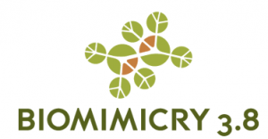 Biomimicry Institute Announces Biomimicry 3.8