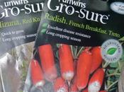 Autumn Sowings