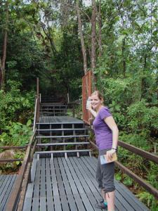 From the Jungle to the River in Borneo