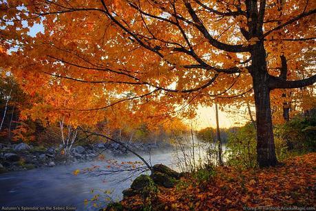 The Fall Foliage in Maine