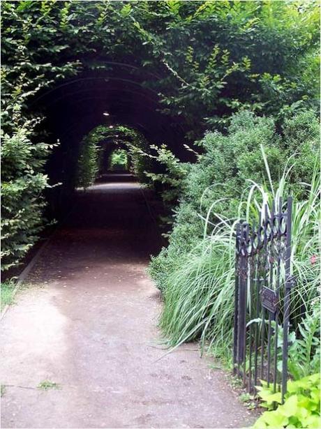 Arbour covered pathway