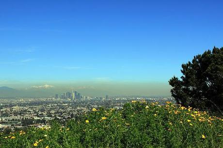 Cleanest Air in the World? WHO Ranks the Best and Worst Places