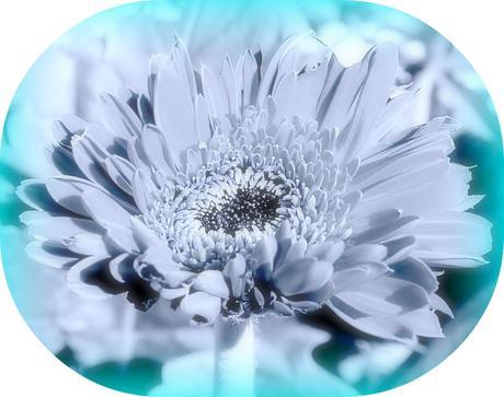 Wordless Wednesday – 28 September 2011