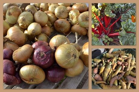 Wordless Wednesday – 28 September 2011
